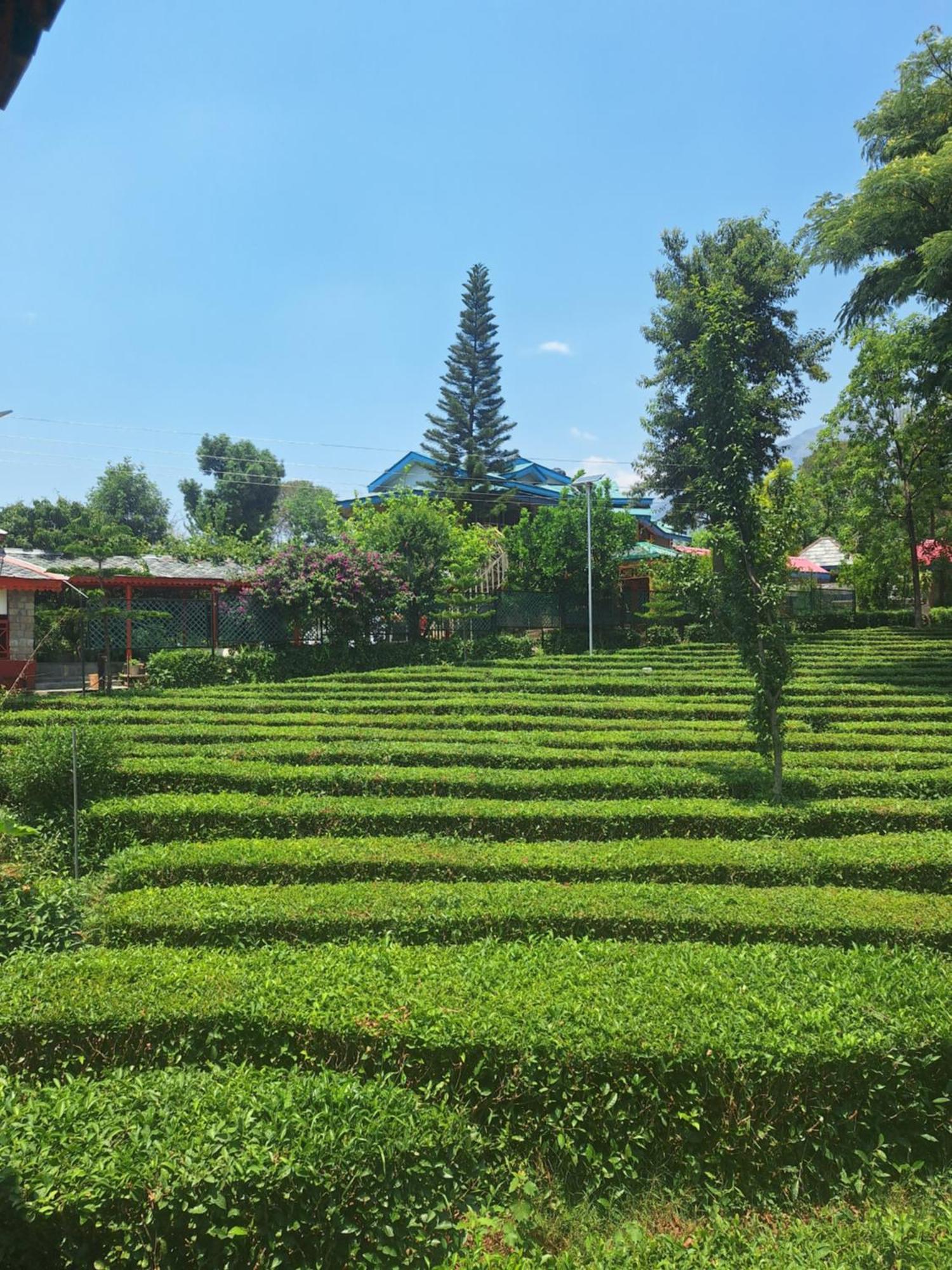 Royal Green Buds Hotel Pathyar Exterior photo