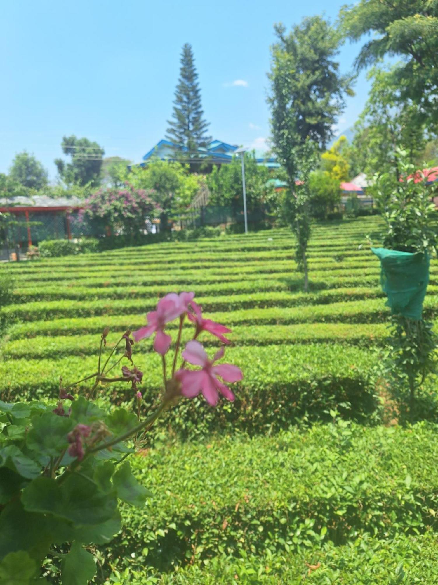 Royal Green Buds Hotel Pathyar Exterior photo